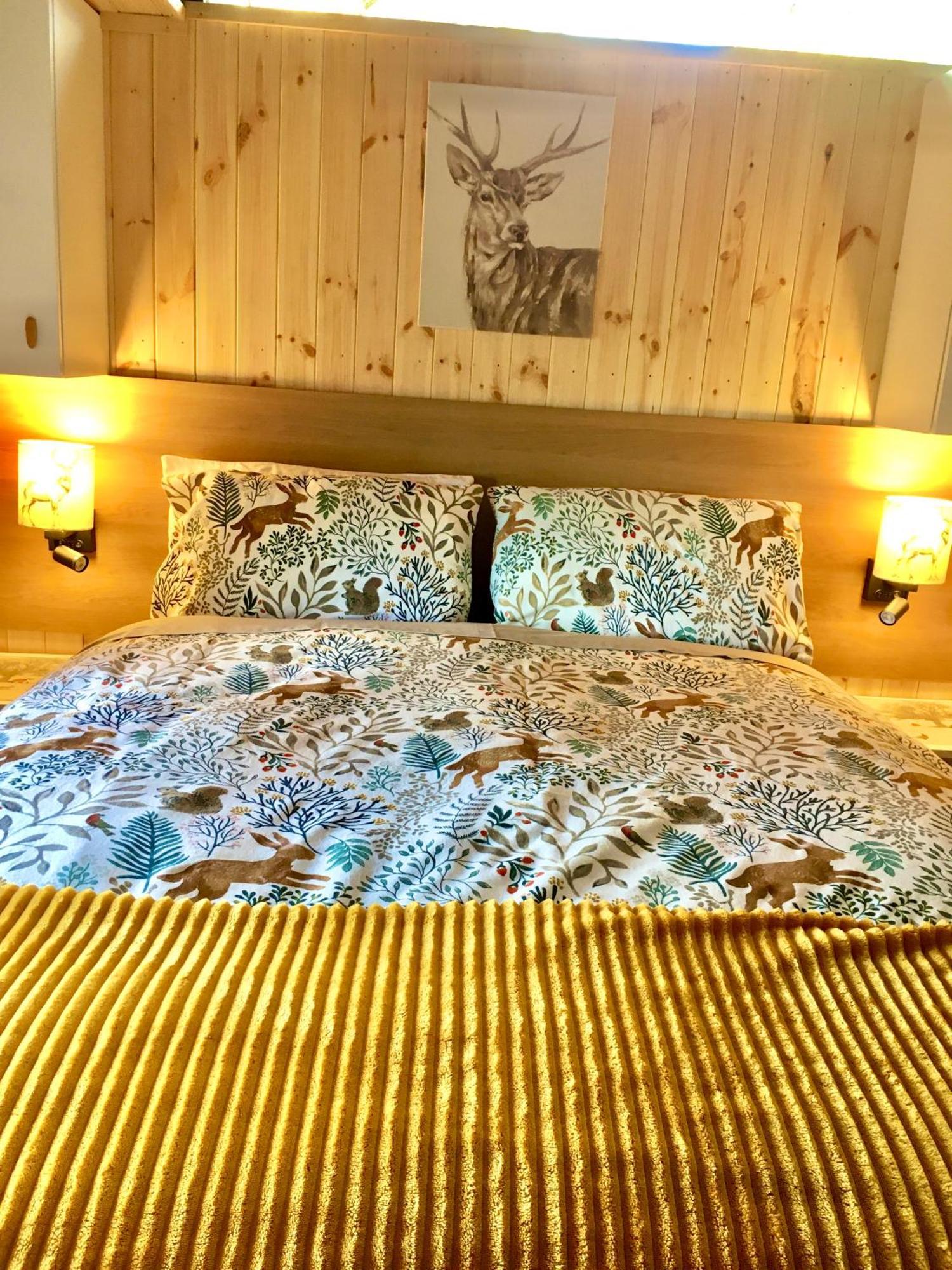 Caban Cwtch Villa Cenarth Ngoại thất bức ảnh